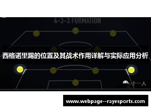 西格诺里踢的位置及其战术作用详解与实际应用分析
