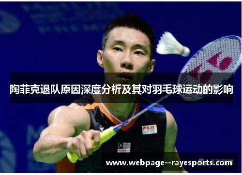 陶菲克退队原因深度分析及其对羽毛球运动的影响