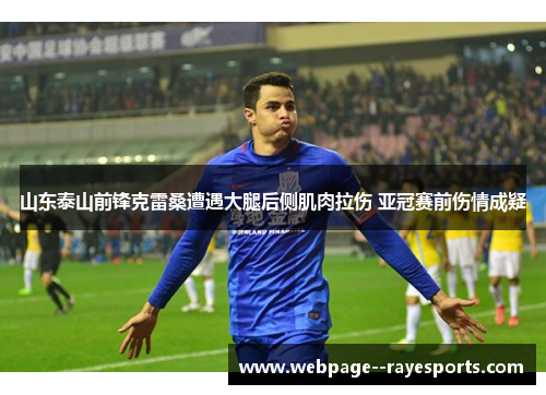 山东泰山前锋克雷桑遭遇大腿后侧肌肉拉伤 亚冠赛前伤情成疑